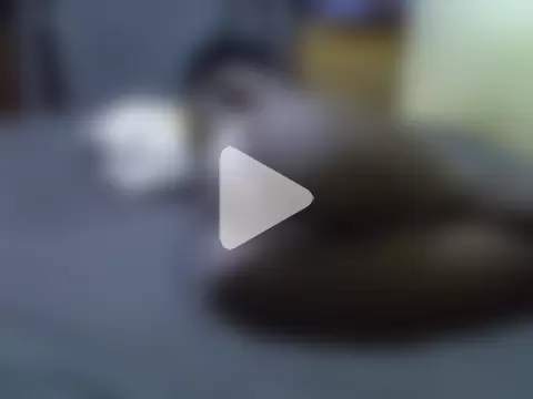 FANCY_METTY photo 19