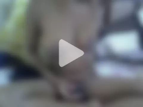 Faiththobile photo 12