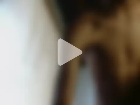 FallenEmigree photo 2