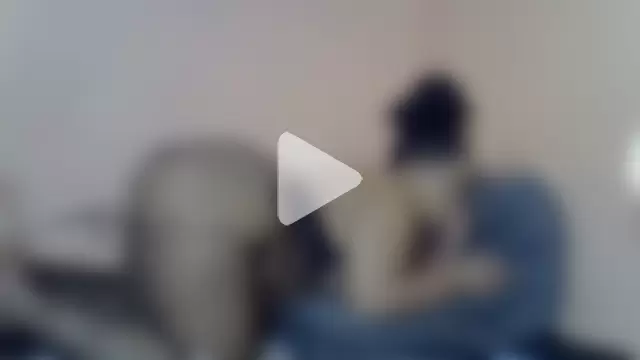 Fantasy1976 photo 14