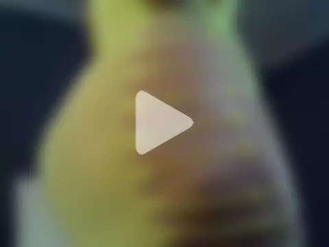 Fattypussyxx photo 1