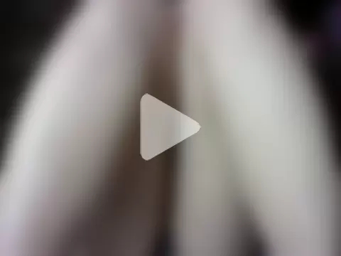 Felicyty_Live photo 26