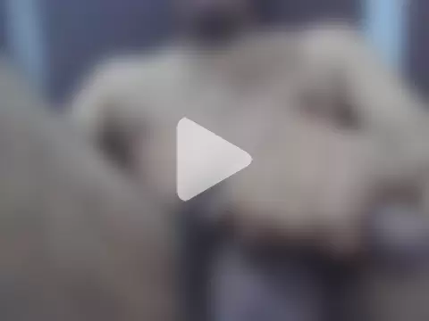 Femalefucker3006 photo 9