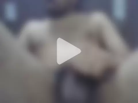 Femalefucker3006 photo 28