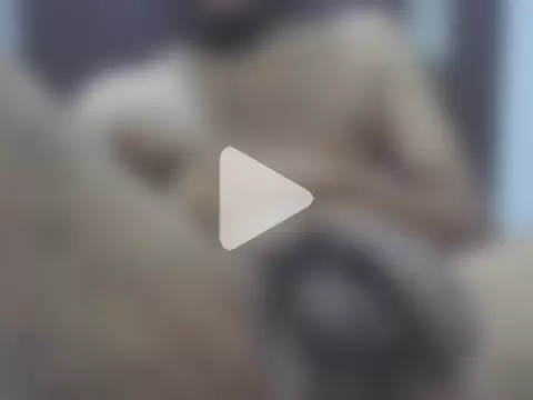 Femalefucker3006 photo 27