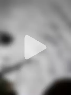 Fernandar2025 photo 7