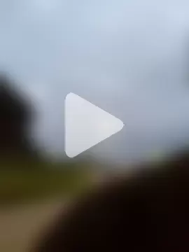 Fernandar2025 photo 13