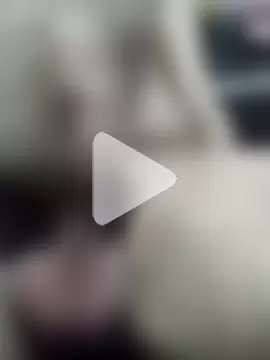 FernandoEclipse photo 11