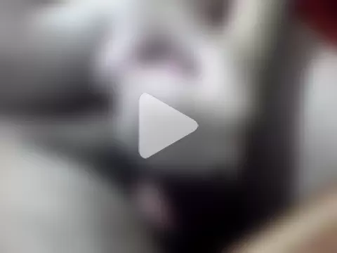 FernandoEclipse photo 4