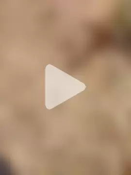 FinableKnee photo 28