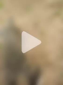 FinableKnee photo 11