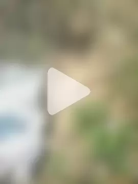 FinableKnee photo 23