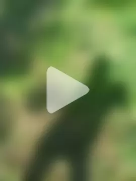 FinableKnee photo 10