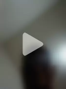 Fizozoo photo 5
