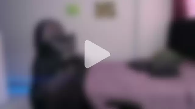 Fleurmeyer79 photo 22