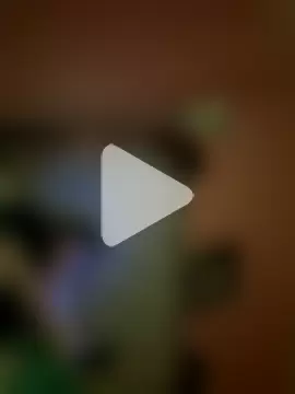 Flossy_Vettie photo 21