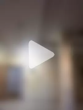 FlungBergenia photo 11