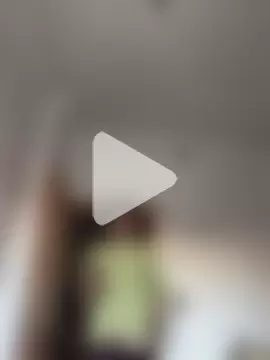 FlungBergenia photo 8