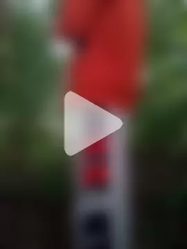 Forest_lover24 photo 3