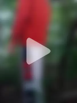 Forest_lover24 photo 1