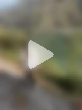 FoxStudioSex photo 19