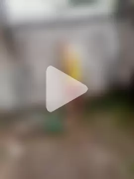 Franklin111230 photo 7