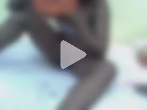 Freakycillia photo 28