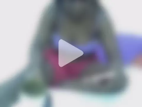 Freakycillia photo 15