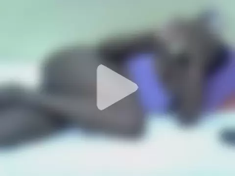 Freakycillia photo 14