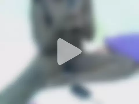 Freakycillia photo 11