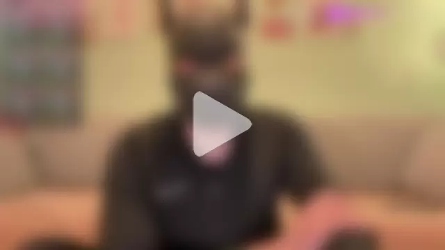 FrenchCamDog photo 6