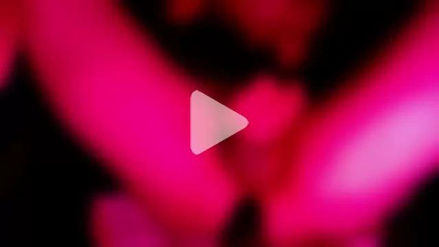 Funwithbrad1 photo 13