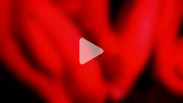 Funwithbrad1 photo 4