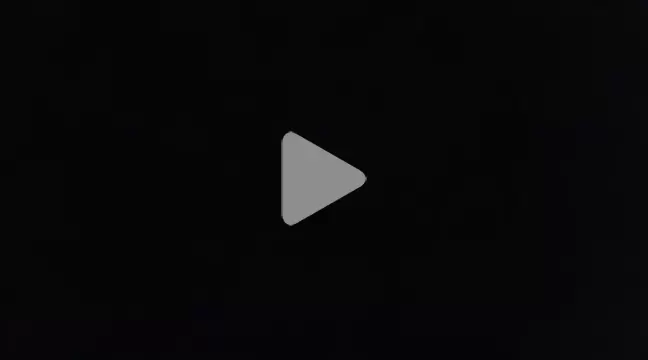 GATIINHA003 photo 28