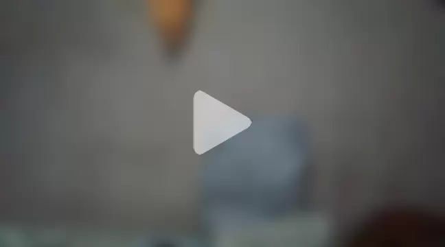 GATIINHA003 photo 17