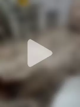 Gabrielsffranca photo 4