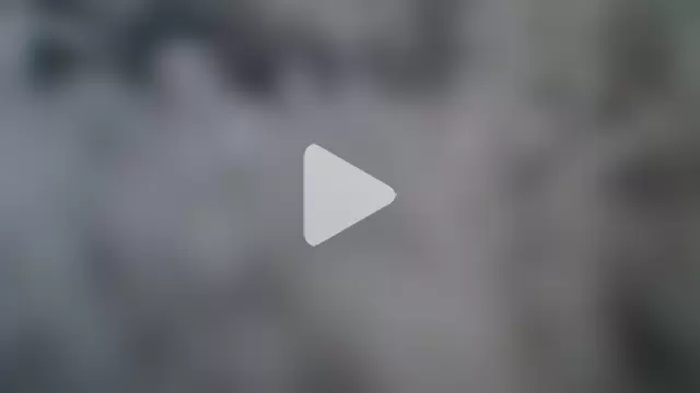 Gaditannus40 photo 11