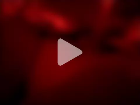 Gaditannus40 photo 8