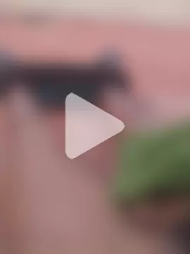 Gaeltupapi16 photo 8