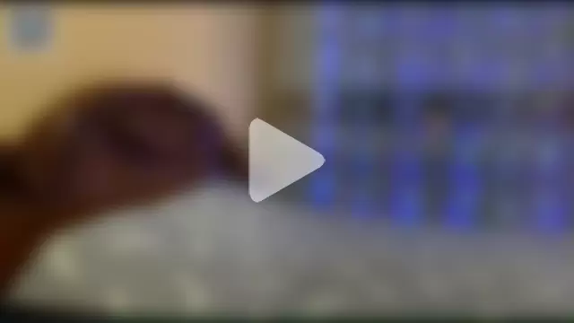 Galatea_2025 photo 6