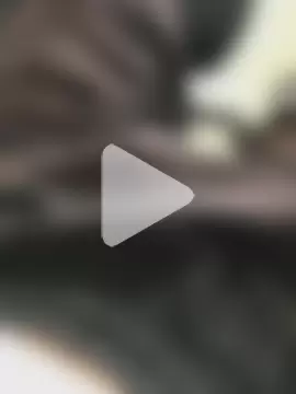 Gallanttrox photo 23