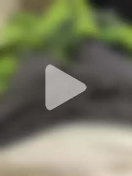 Gallanttrox photo 15