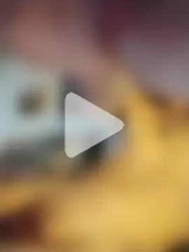 Gambacek1212 photo 1