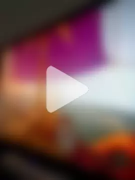 GameLegend66 photo 3