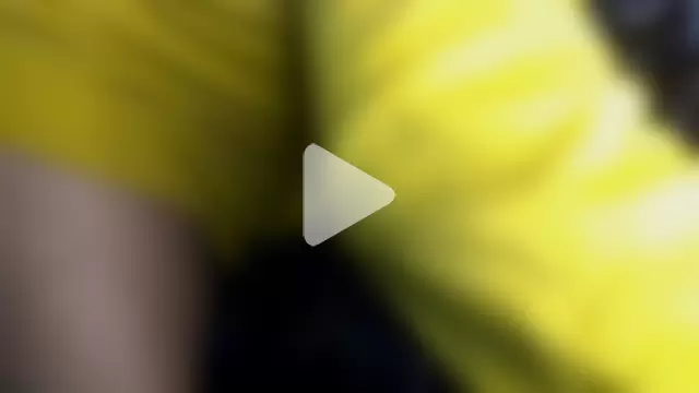 GardeniaFields photo 11