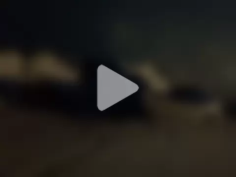 GeilerHSVFAN1989 photo 30