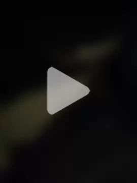 GeilerHSVFAN1989 photo 15