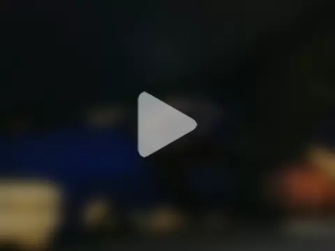 GeilerHSVFAN1989 photo 14