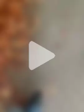 GeilerHSVFAN1989 photo 11