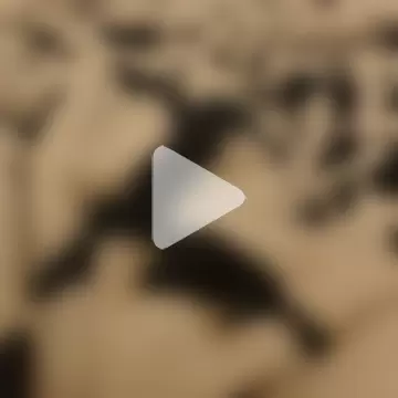 Geilerboy262 photo 1